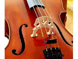 Aulas de violino, cello e coral
