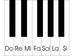 Novas turmas de acordeon e teclado
