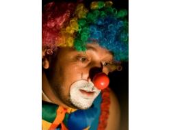 “O Mundo Mágico do Circo” 