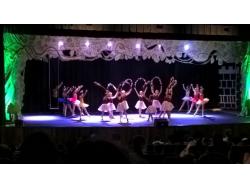 Instituto Cultural Movimentou a Cultura Lourenciana com espetáculos no Teatro Municipal
