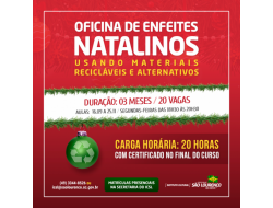 Instituto Cultural promove oficina de enfeites natalinos